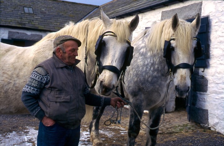 EX02Ploughman+Percherons  - Version 2