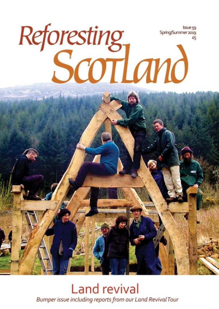 Land-Revival-Cover-728x1024